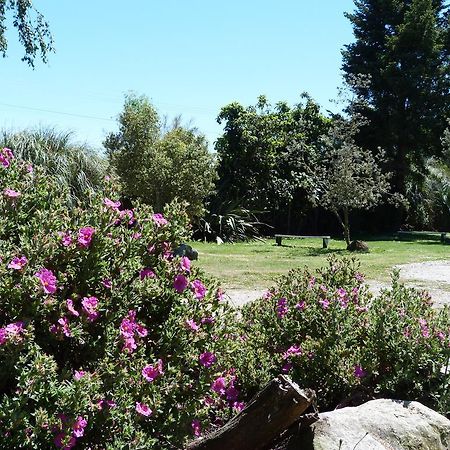 Fernwood Holiday Park Motueka Zimmer foto
